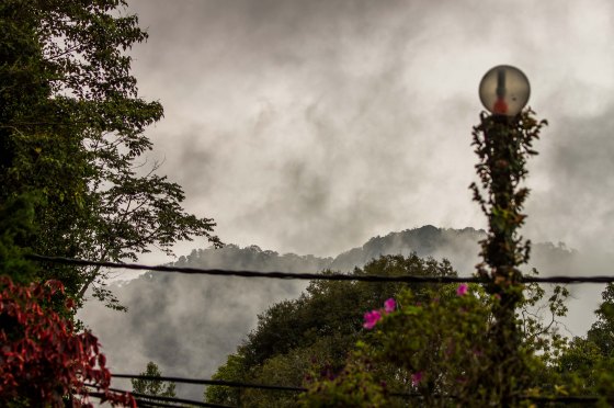 twitching in the mist of FH