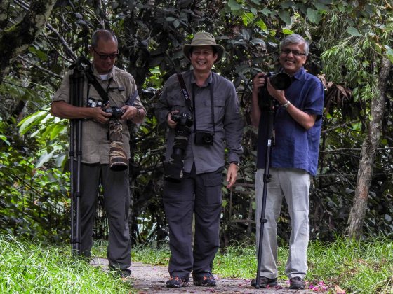 my mates on our FH birding exhibition
