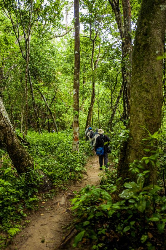 And off we went in the light rain on our 'little hike'