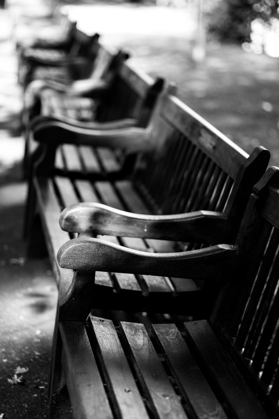 there were lots of park benches to sit on and soak in the restful serenity of this magical little garden...many benches were donated in memory of the many peoples from all over the world who had frequented and loved this garden...