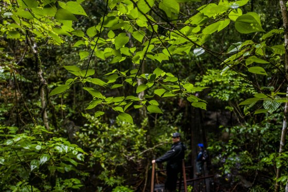 At times, the greenery was very pretty..but we were too wet and muddied to see any birds...