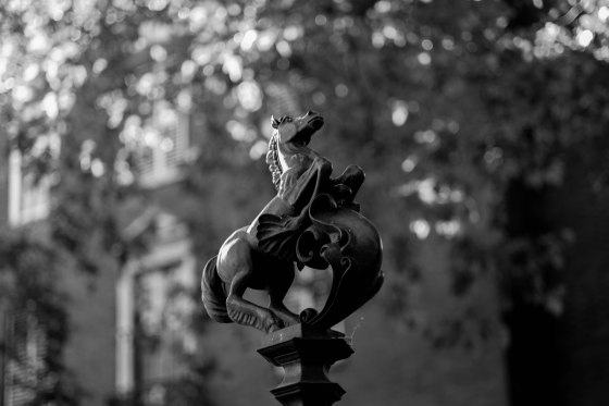 Resuming our walk inside the garden..there are several sculptures...