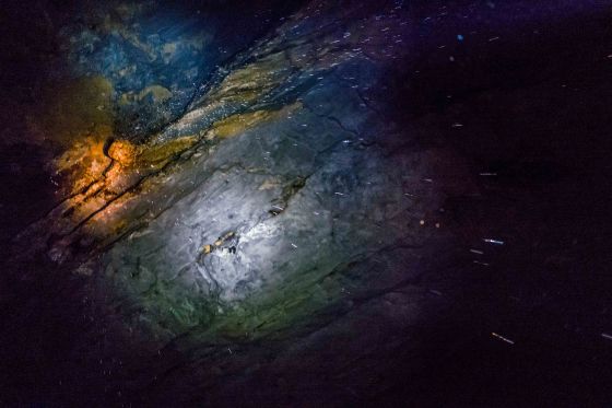 And at one point, there was water raining down on us....and I took this shot with the Q shooting into the rain...