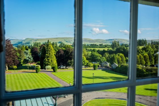 view of the front lawn from my room