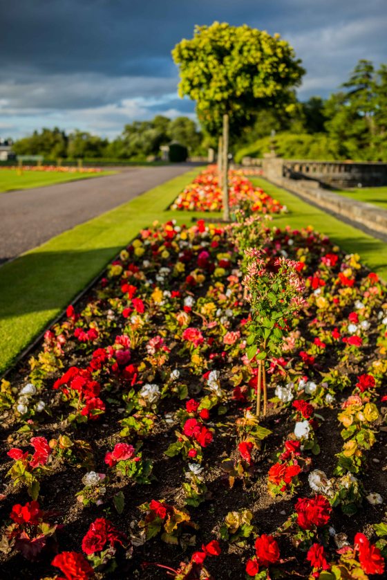 gorgeous landscaped gardens