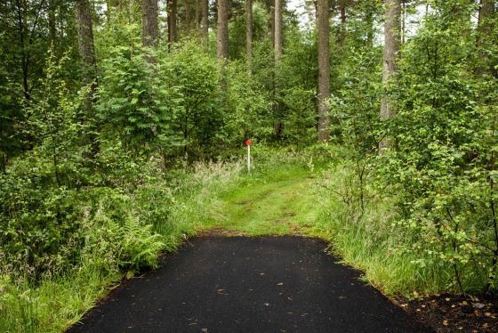 Start of the Glenmor Woodland Walk