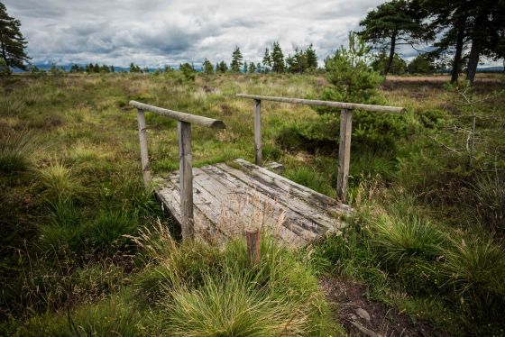 bridges over peaty areas...help keep you dry