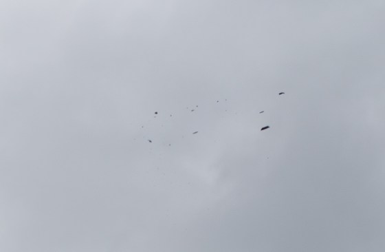 With a hit, the clay pigeon disintegrates into many small pieces... 