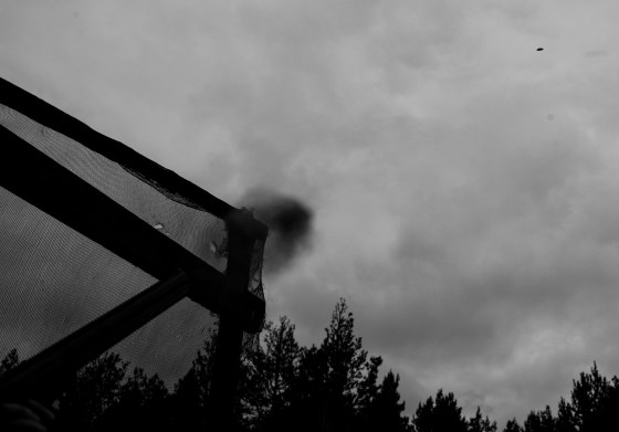 puff of smoke..with the clay pigeon in the distance