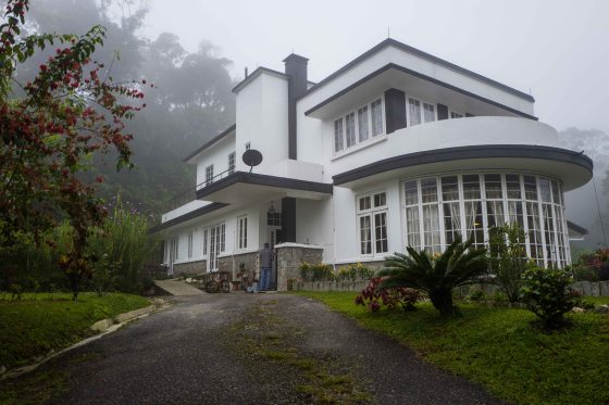 Stephen's Place, on the Telecom Loop