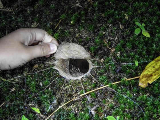 it wouldn't come out again though when we opened the trapdoor