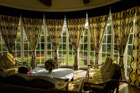 the view of the front garden through the french windows of the living room