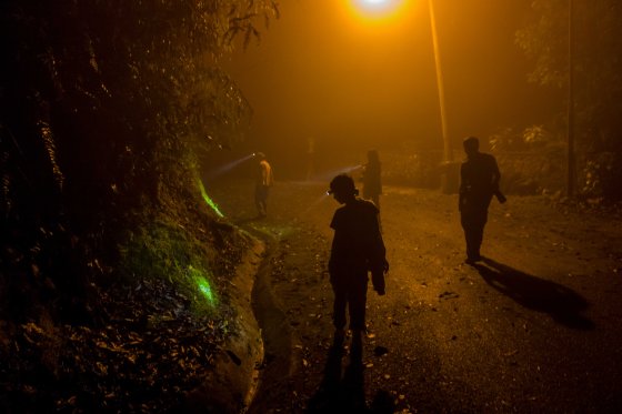 As we ambled on the road, we cast our torchlights around....