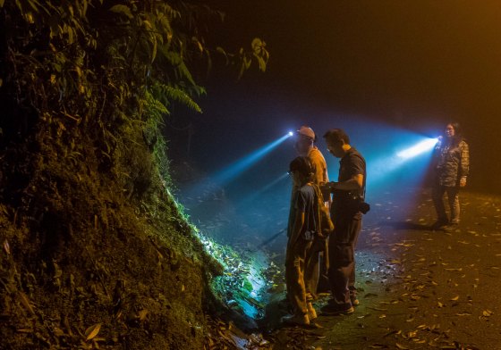 Training our torches on the bank..