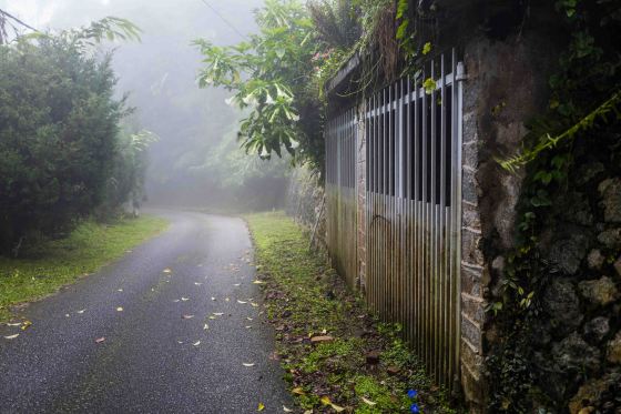 the garage under the house