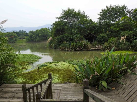 platform of one of the hides