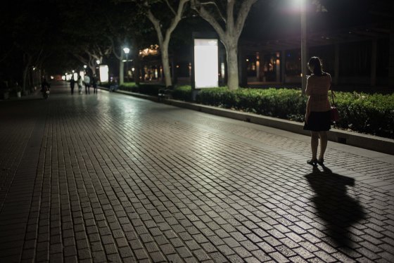 Paths and walkways like this ring the whole lake and if you want to walk around it, it's about 15km 