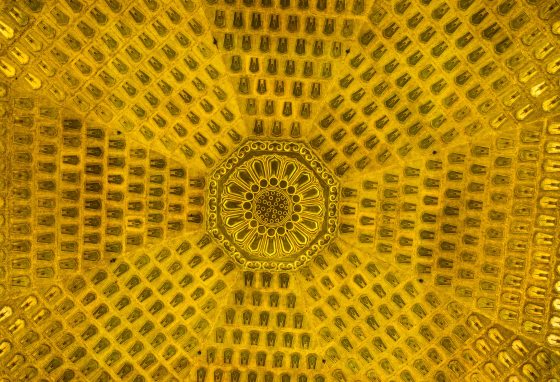 Roof detail of Lei Feng Pagoda