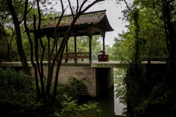 a truly scenic wetland