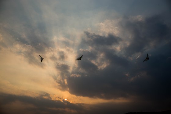 the kite flyers were also out