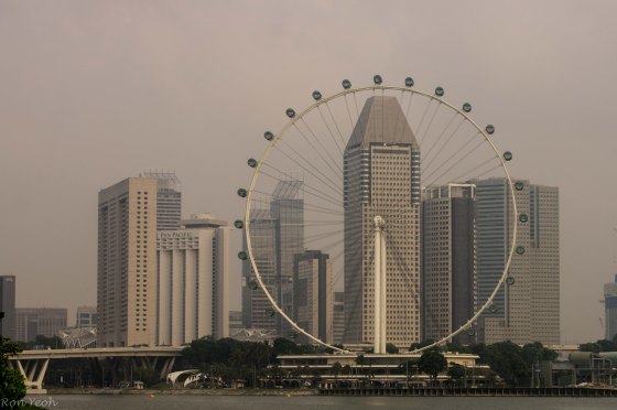 View of the SIngapore Flyer from Gardens by the Bay