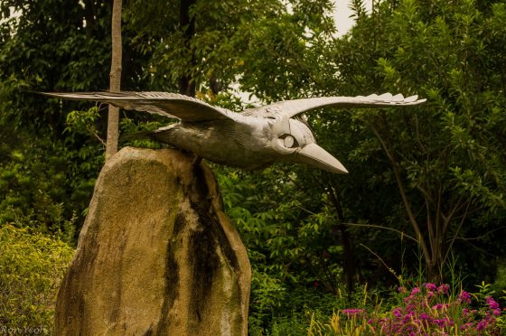 Alongside the Satay by the Bay complex is a long lake and I wandered over there to be greeted by a beautiful kingfisher sculpture....