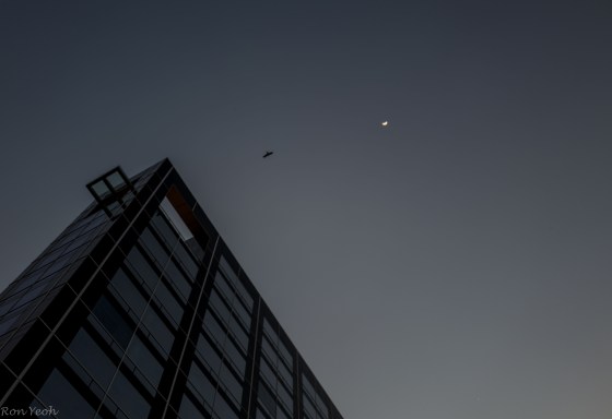 Setting out at dawn, the moon is still seen above the Hyatt Regency