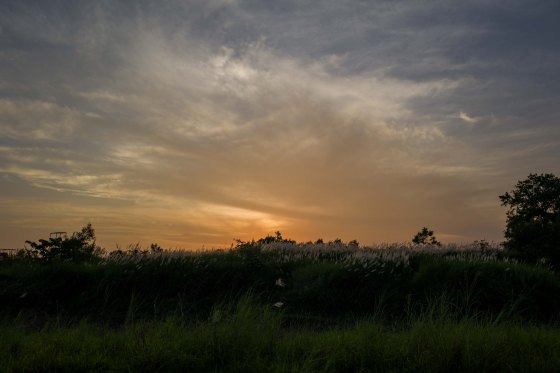 sunset over bai da song hong