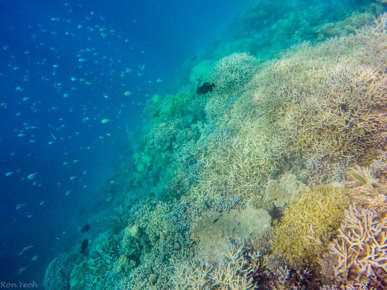 DCIM100GOPROGOPR0231.