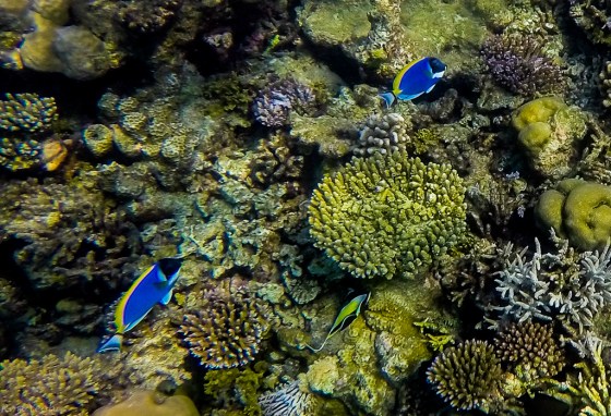 DCIM100GOPROGOPR0300.