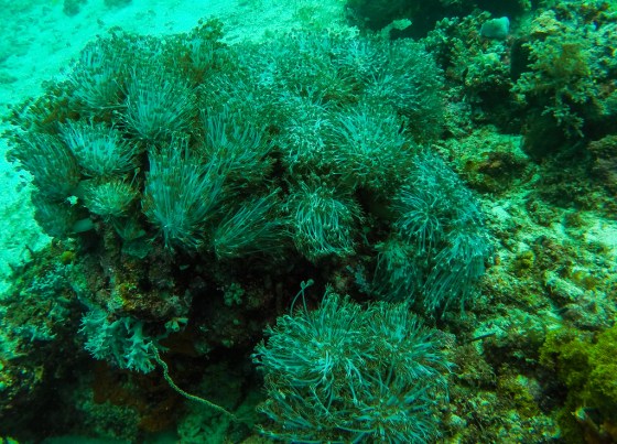 DCIM100GOPROGOPR0457.