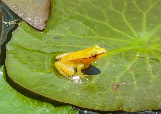 DSCN5472